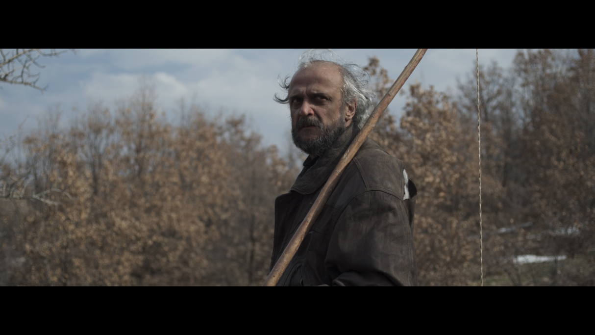 tavşan imparatorluğu