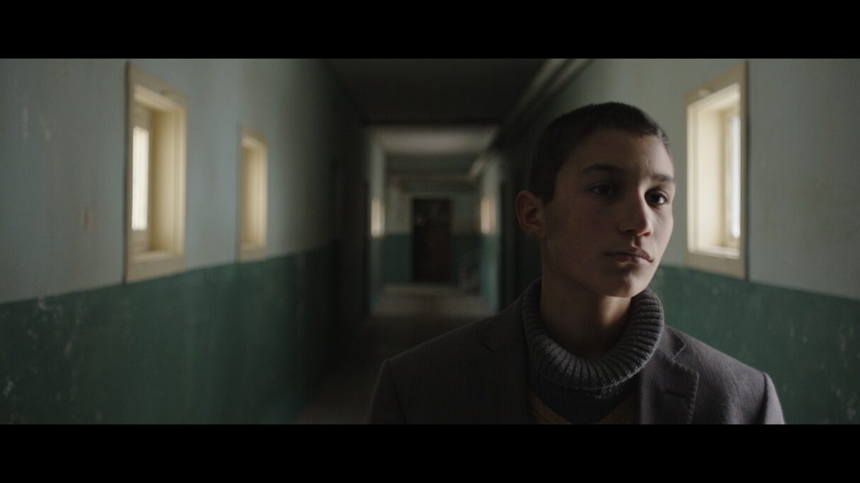 tavşan imparatorluğu