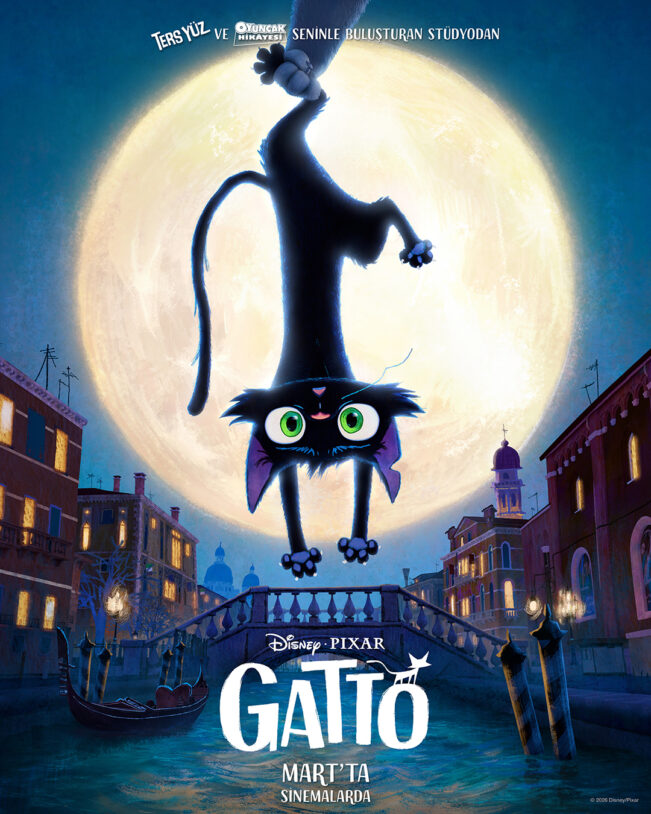 gatto