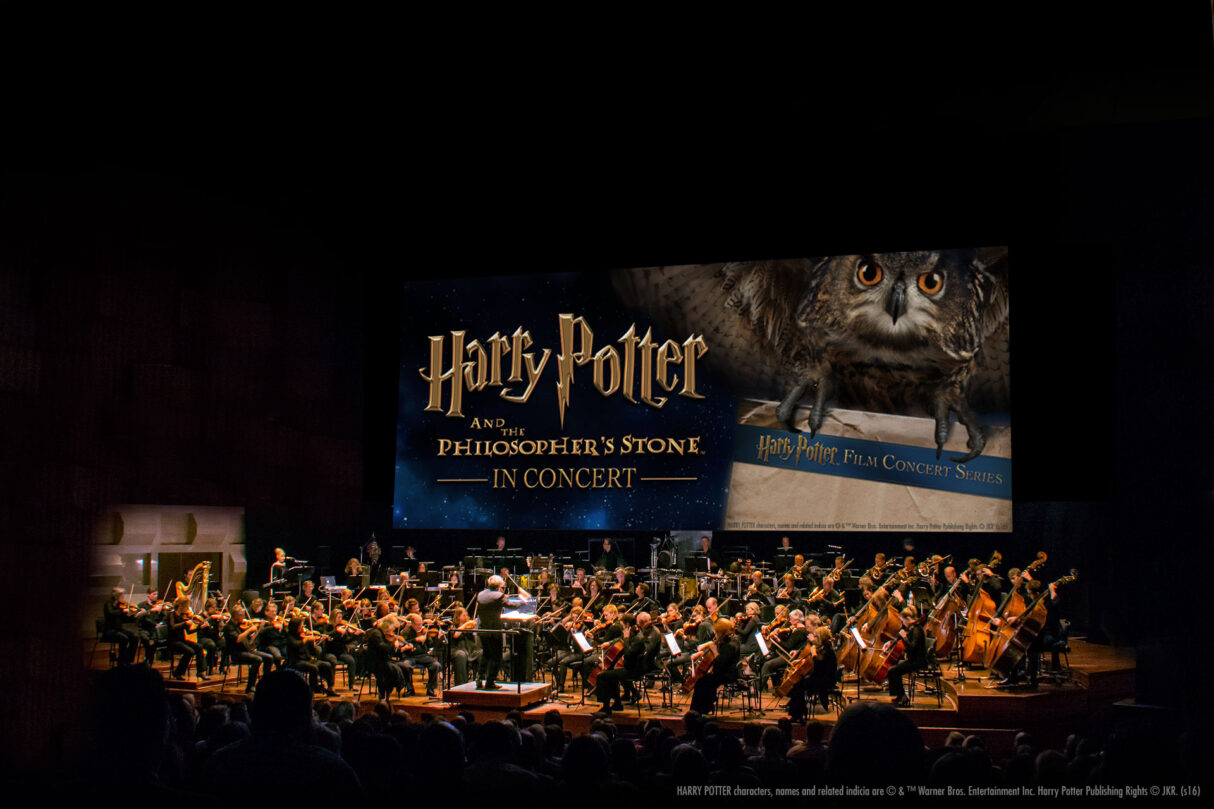 harry potter