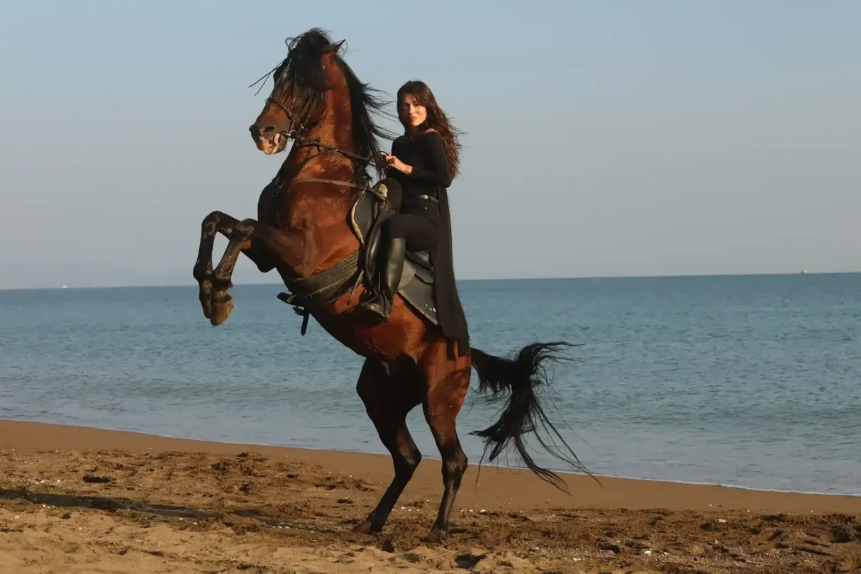 Sevdam Karadeniz İlk Tanıtım