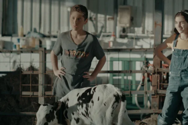 An image from Elif Eda's The Farm