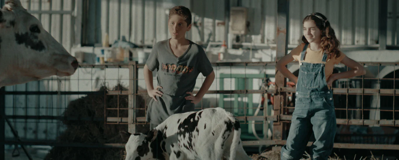 An image from Elif Eda's The Farm
