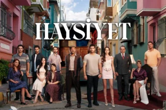 Haysiyet poster images