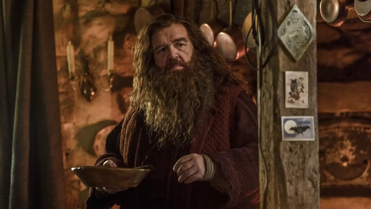 Harry Potter dizisinden yeni kareler