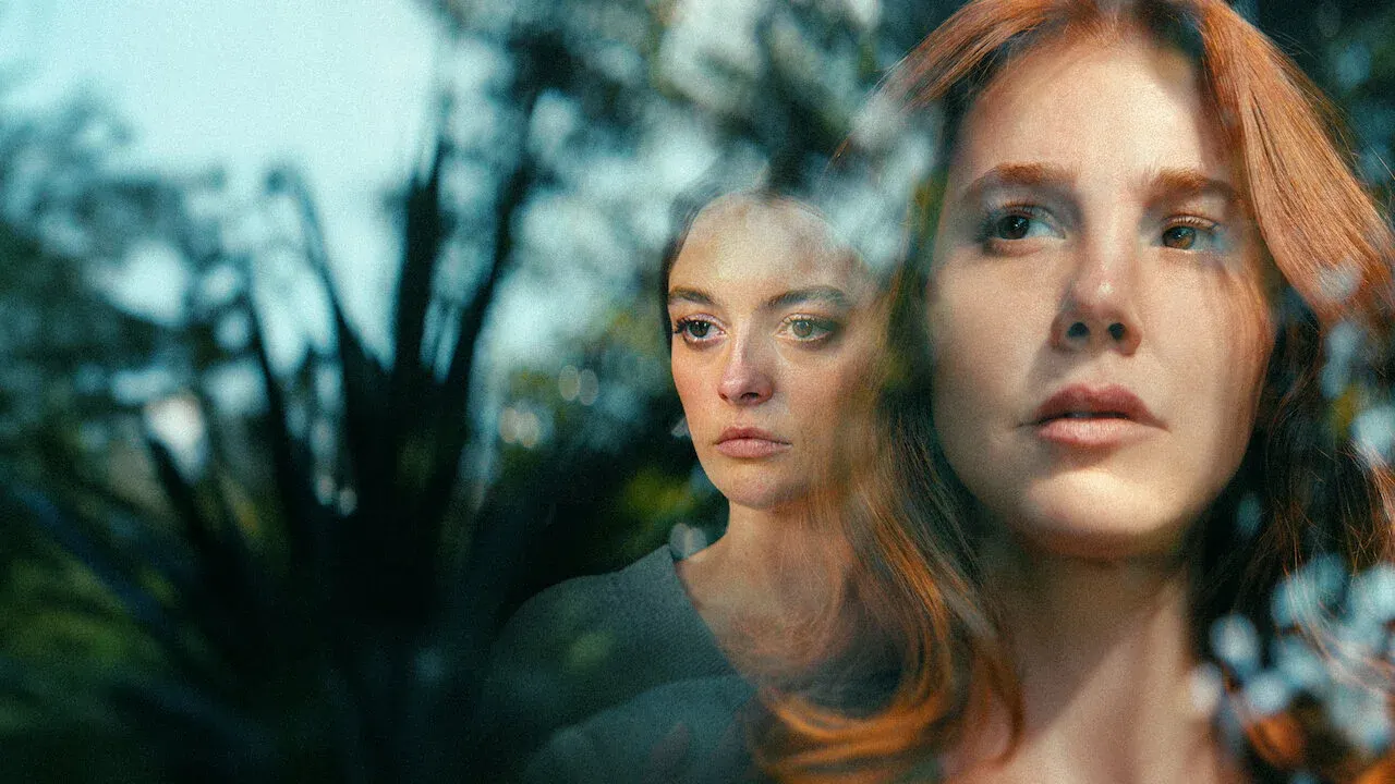 Netflix’s 'Not a Stranger' Hits No. 1 on Global Non-English TV Chart