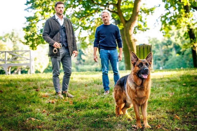 Beta Film Takes 'Rex - Vienna Calling' to Global Buyers as Season 2 Enters Production